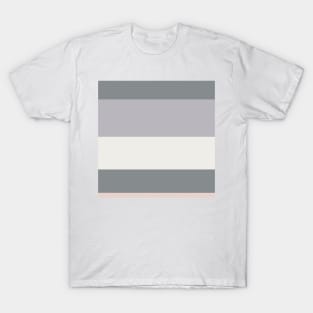 A sensational combination of Very Light Pink, Grey, Silver and Light Grey stripes. T-Shirt